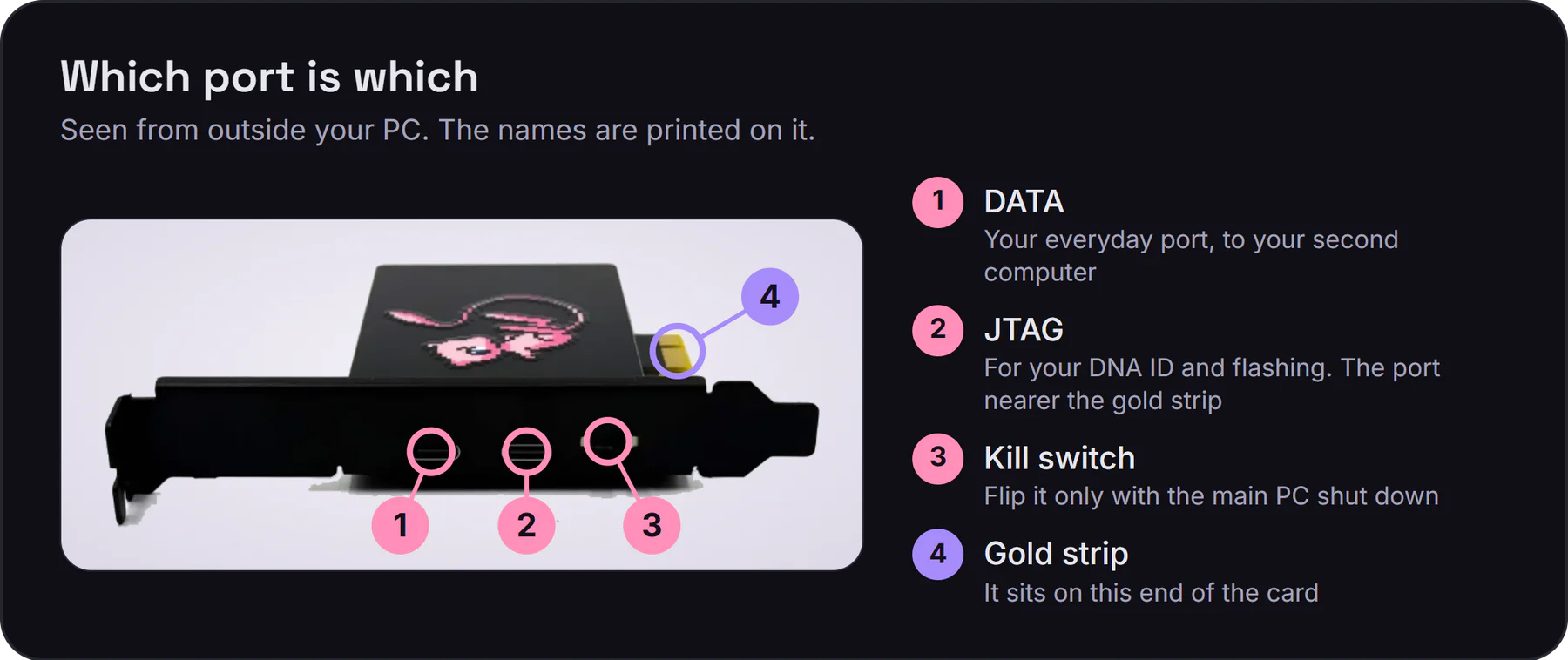 The GODLIKE 100T's bracket seen from outside the PC: DATA port first, then the JTAG port, then the kill switch nearest the gold strip end